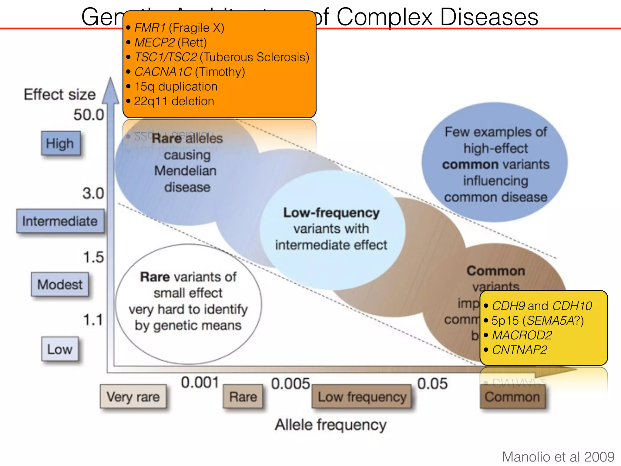 Genetic Architecture of Complex Diseases
Manolio et al 2009
• FMR1 (Fragile X)
• MECP2 (Rett)
• TSC1/TSC2 (Tuberous Sclerosis)
• CACNA1C (Timothy)
• 15q duplication
• 22q11 deletion
• CDH9 and CDH10
• 5p15 (SEMA5A?)
• MACROD2
• CNTNAP2
 
