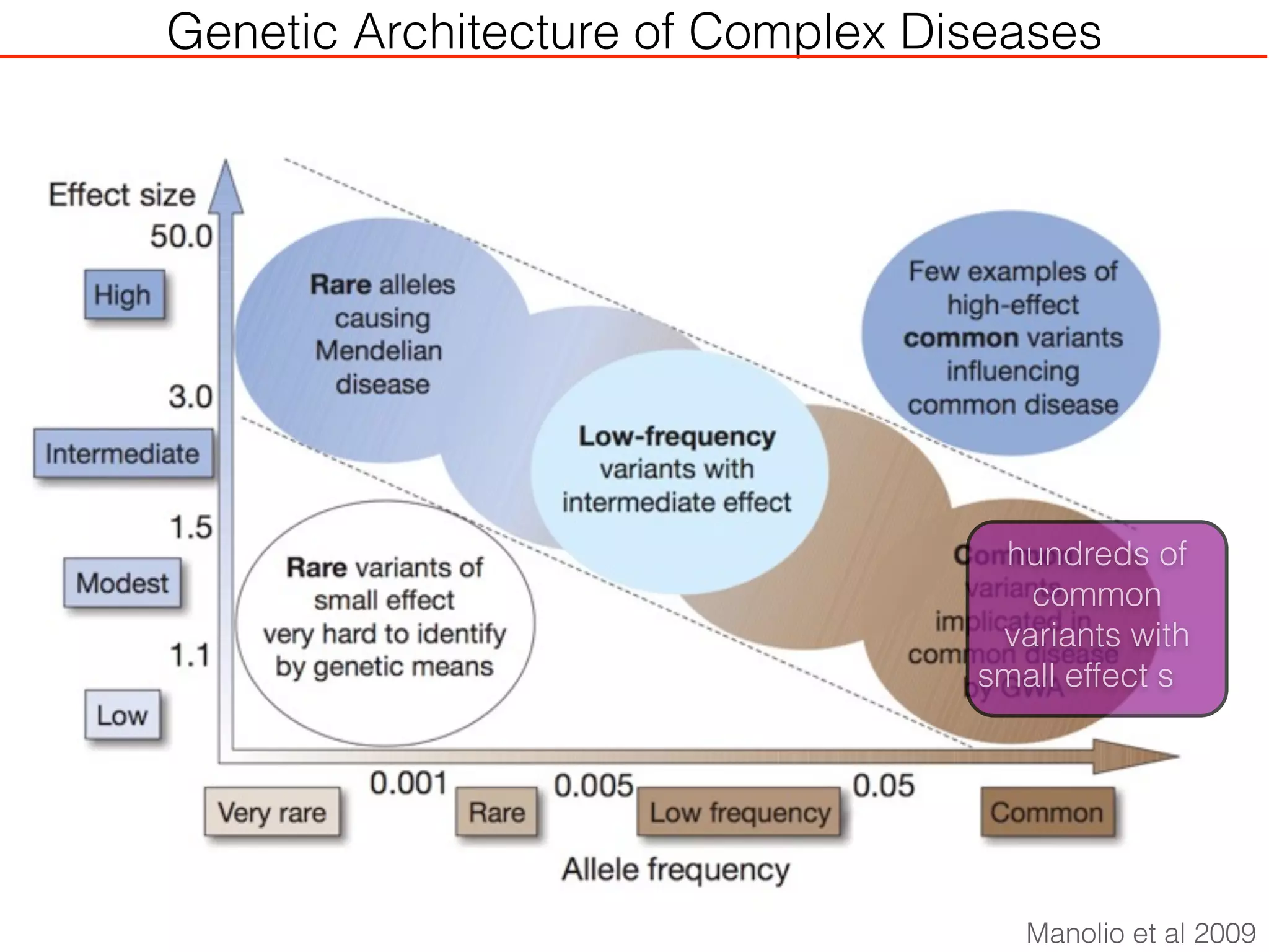 Genetic Architecture of Complex Diseases
Manolio et al 2009
hundreds of
common
variants with
small effect s
 