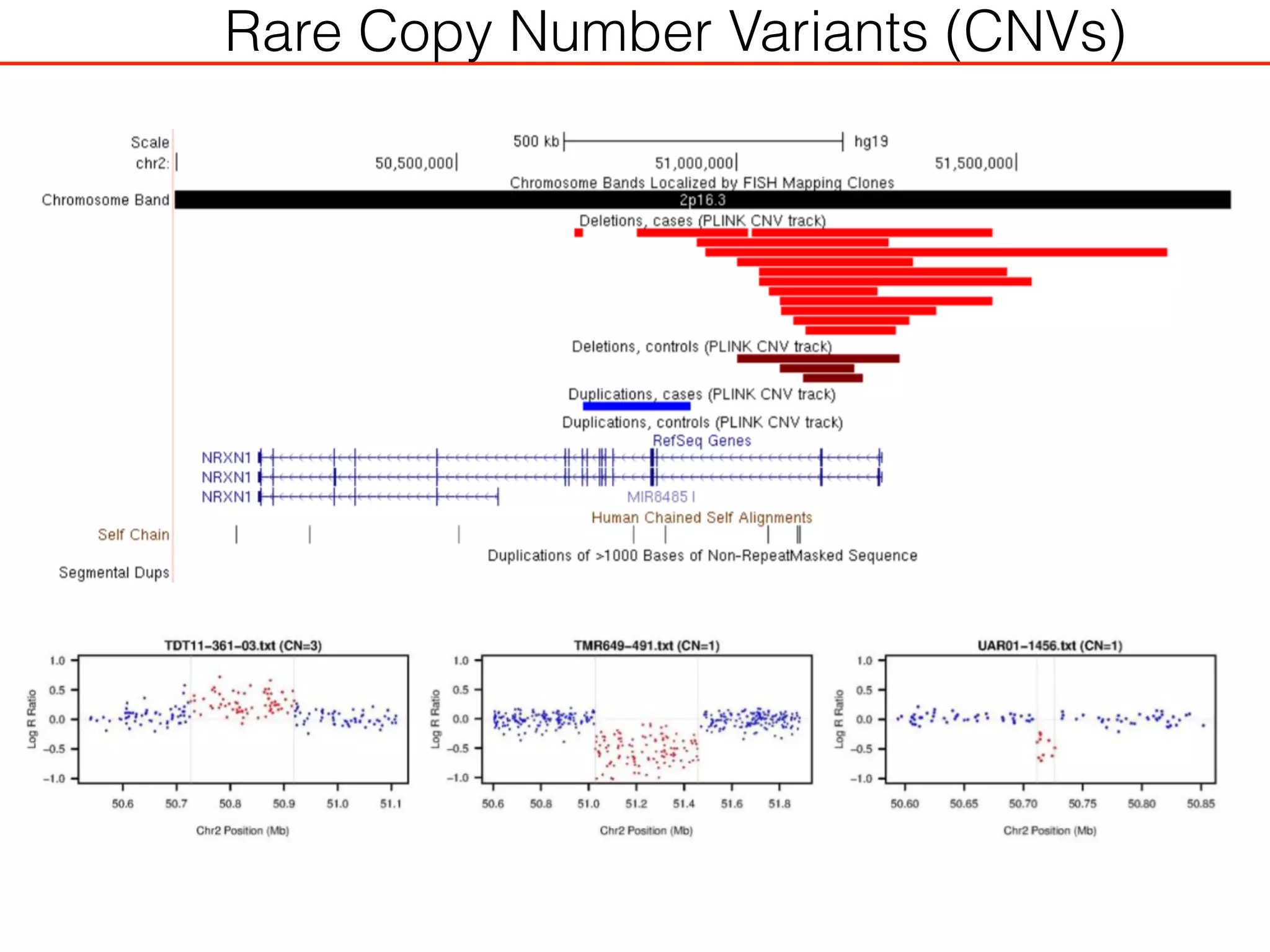 Rare Copy Number Variants (CNVs)
 
