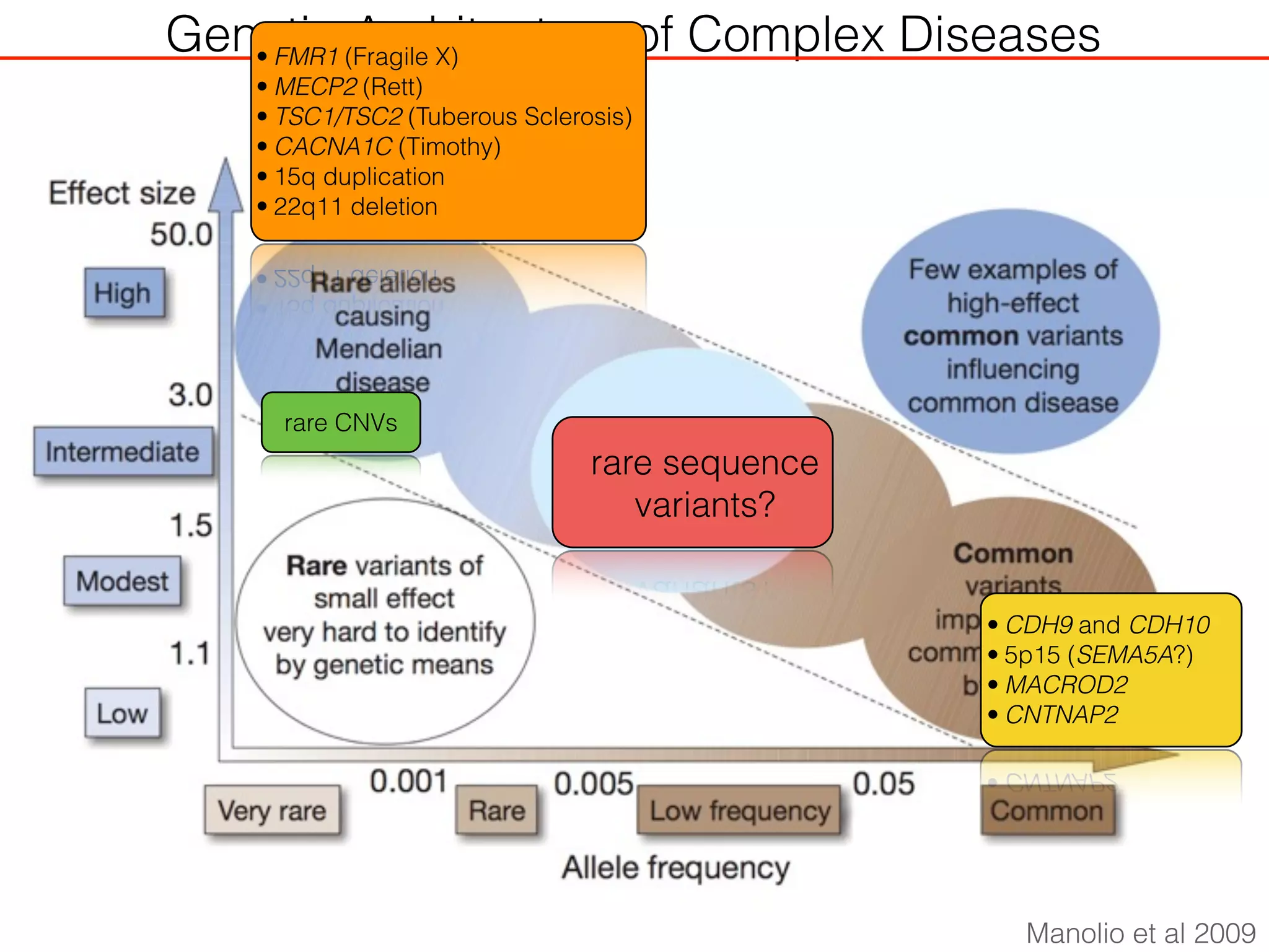 Genetic Architecture of Complex Diseases
Manolio et al 2009
• FMR1 (Fragile X)
• MECP2 (Rett)
• TSC1/TSC2 (Tuberous Sclerosis)
• CACNA1C (Timothy)
• 15q duplication
• 22q11 deletion
• CDH9 and CDH10
• 5p15 (SEMA5A?)
• MACROD2
• CNTNAP2
rare CNVs
rare sequence
variants?
 