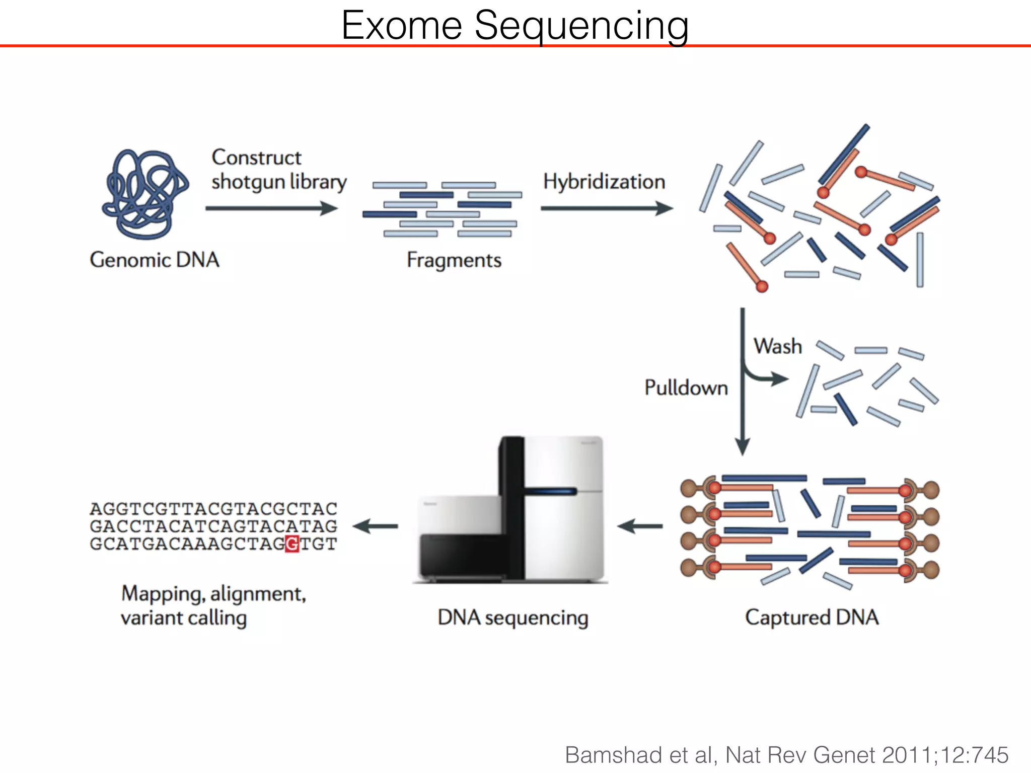 Bamshad et al, Nat Rev Genet 2011;12:745
Exome Sequencing
 