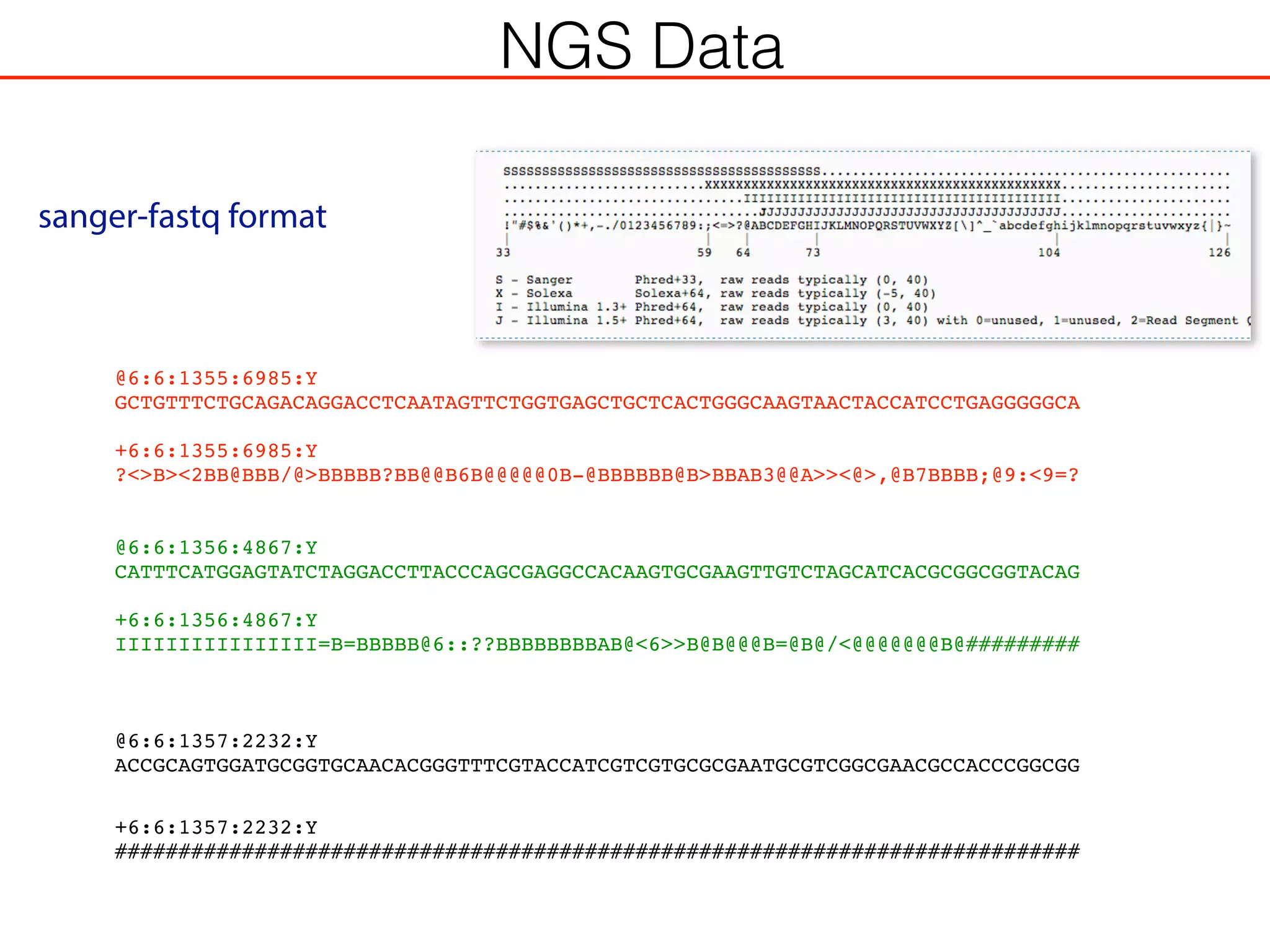 @6:6:1355:6985:Y
GCTGTTTCTGCAGACAGGACCTCAATAGTTCTGGTGAGCTGCTCACTGGGCAAGTAACTACCATCCTGAGGGGGCA
+6:6:1355:6985:Y
?<>B><2BB@BBB/@>BBBBB?BB@@B6B@@@@@0B-@BBBBBB@B>BBAB3@@A>><@>,@B7BBBB;@9:<9=?
@6:6:1356:4867:Y
CATTTCATGGAGTATCTAGGACCTTACCCAGCGAGGCCACAAGTGCGAAGTTGTCTAGCATCACGCGGCGGTACAG
+6:6:1356:4867:Y
IIIIIIIIIIIIIIII=B=BBBBB@6::??BBBBBBBBAB@<6>>B@B@@@B=@B@/<@@@@@@@B@#########
@6:6:1357:2232:Y
ACCGCAGTGGATGCGGTGCAACACGGGTTTCGTACCATCGTCGTGCGCGAATGCGTCGGCGAACGCCACCCGGCGG
+6:6:1357:2232:Y
############################################################################
NGS Data
sanger-fastq format
 