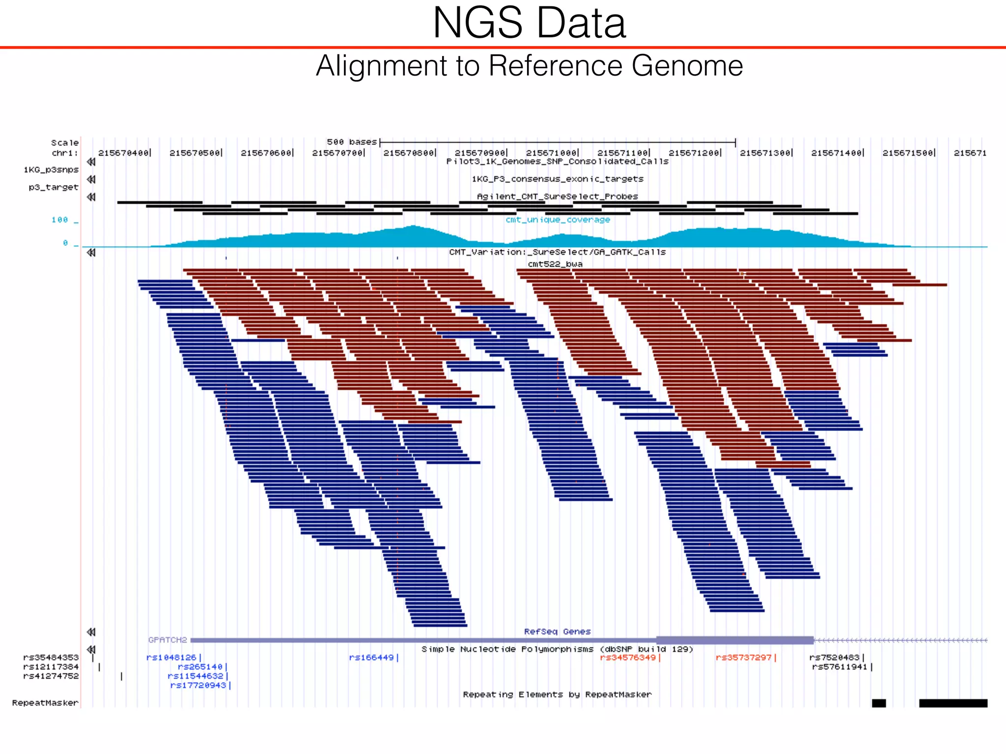 NGS Data
Alignment to Reference Genome
 