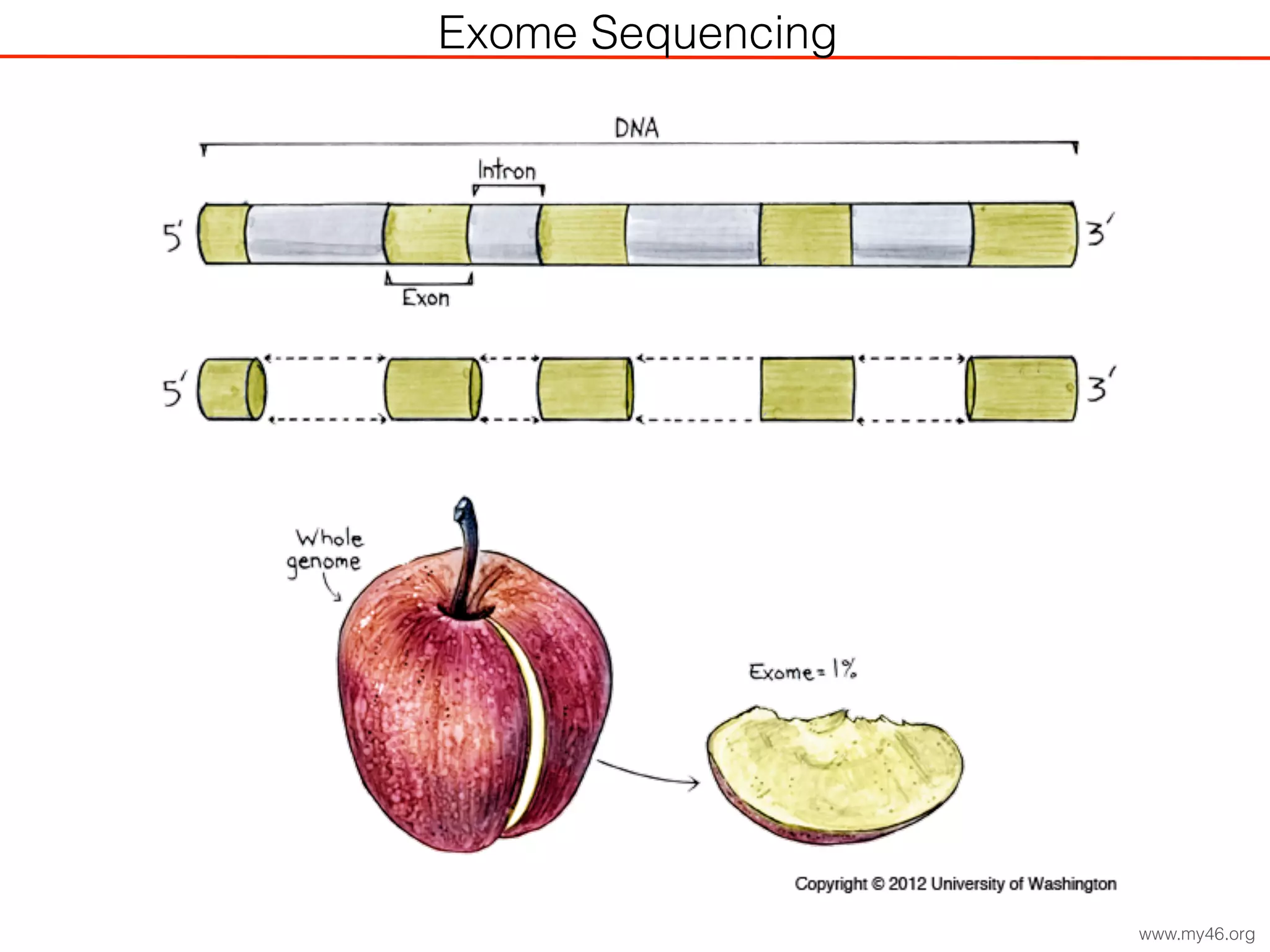 PFBC: CAUSAL MUTATIONS
Exome Sequencing
www.my46.org
 