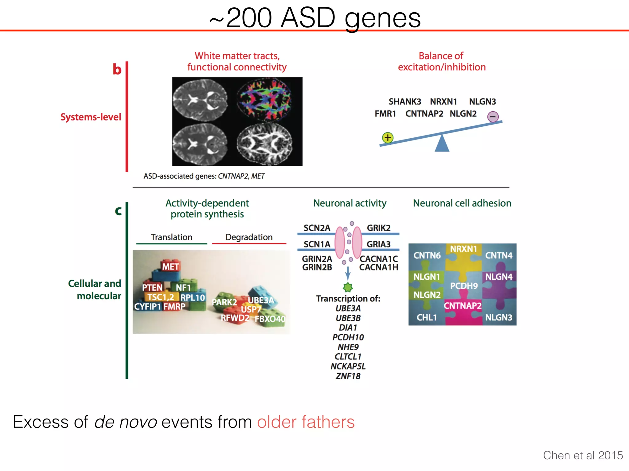 ~200 ASD genes
Excess of de novo events from older fathers
Chen et al 2015
 