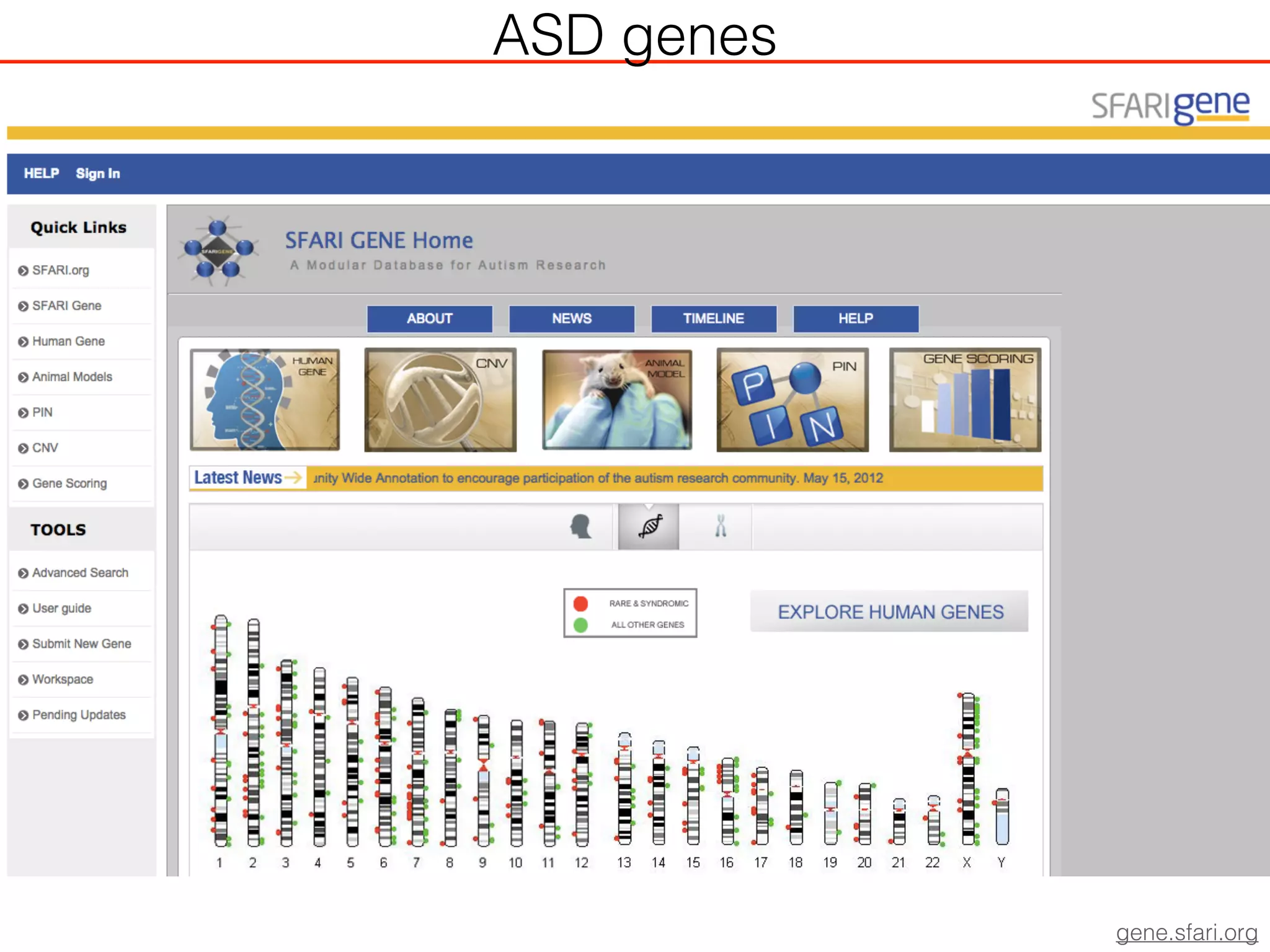 ASD genes
gene.sfari.org
 