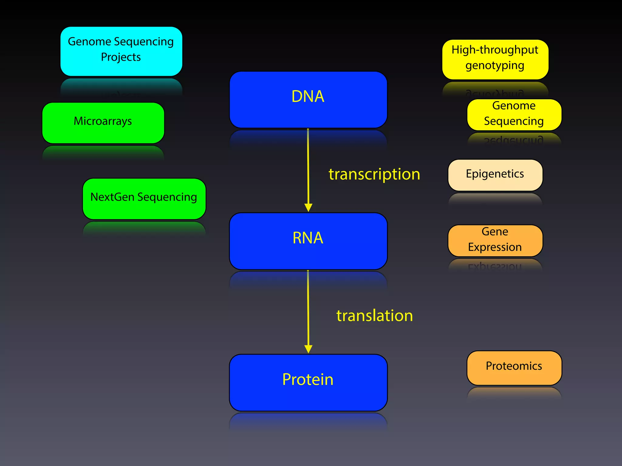DNA
RNA
Protein
transcription
translation
High-throughput
genotyping
Genome
Sequencing
Gene
Expression
Epigenetics
Proteomics
Microarrays
NextGen Sequencing
Genome Sequencing
Projects
 