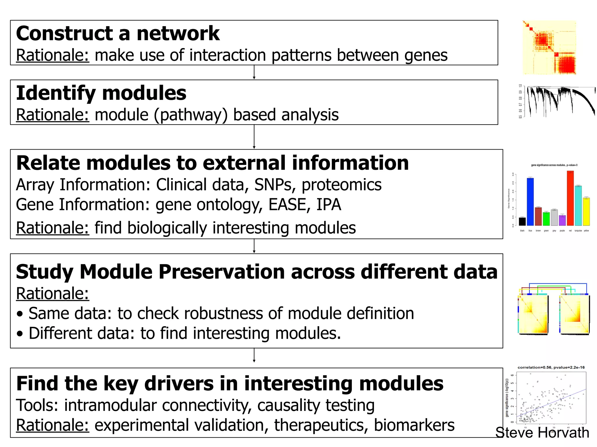 Construct a network
Rationale: make use of interaction patterns between genes
Identify modules
Rationale: module (pathway) based analysis
Relate modules to external information
Array Information: Clinical data, SNPs, proteomics
Gene Information: gene ontology, EASE, IPA
Rationale: find biologically interesting modules
Find the key drivers in interesting modules
Tools: intramodular connectivity, causality testing
Rationale: experimental validation, therapeutics, biomarkers
Study Module Preservation across different data
Rationale:
• Same data: to check robustness of module definition
• Different data: to find interesting modules.
Steve Horvath
 
