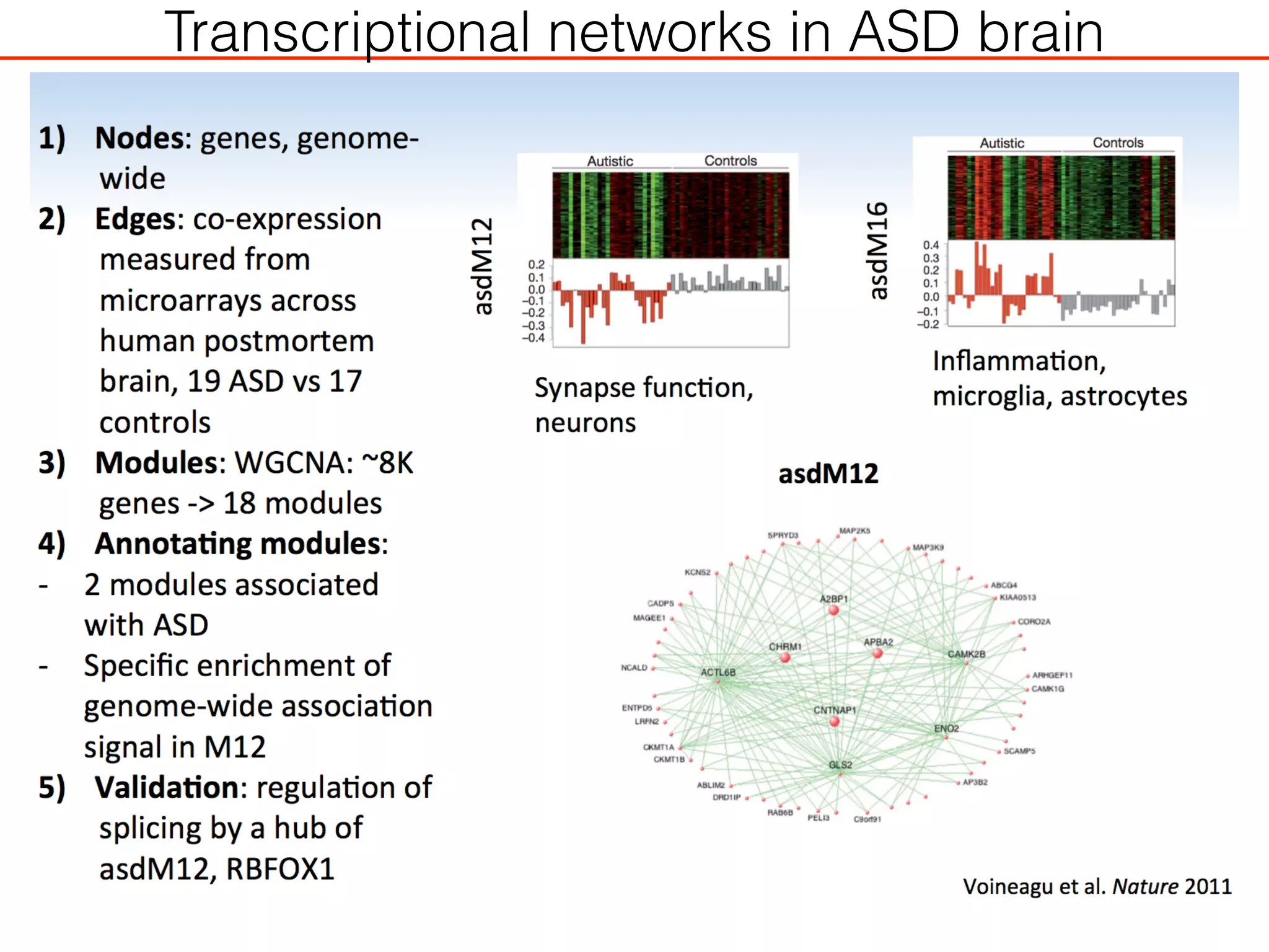 Transcriptional networks in ASD brain
 
