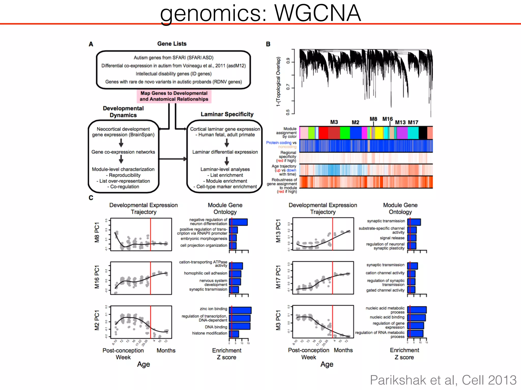 genomics: WGCNA
Parikshak et al, Cell 2013
 