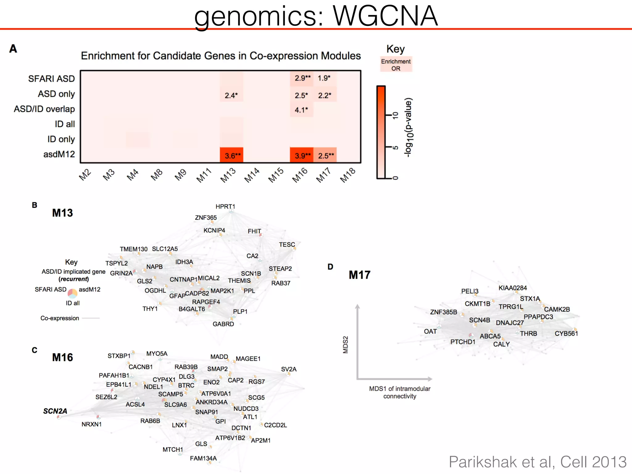 genomics: WGCNA
Parikshak et al, Cell 2013
 
