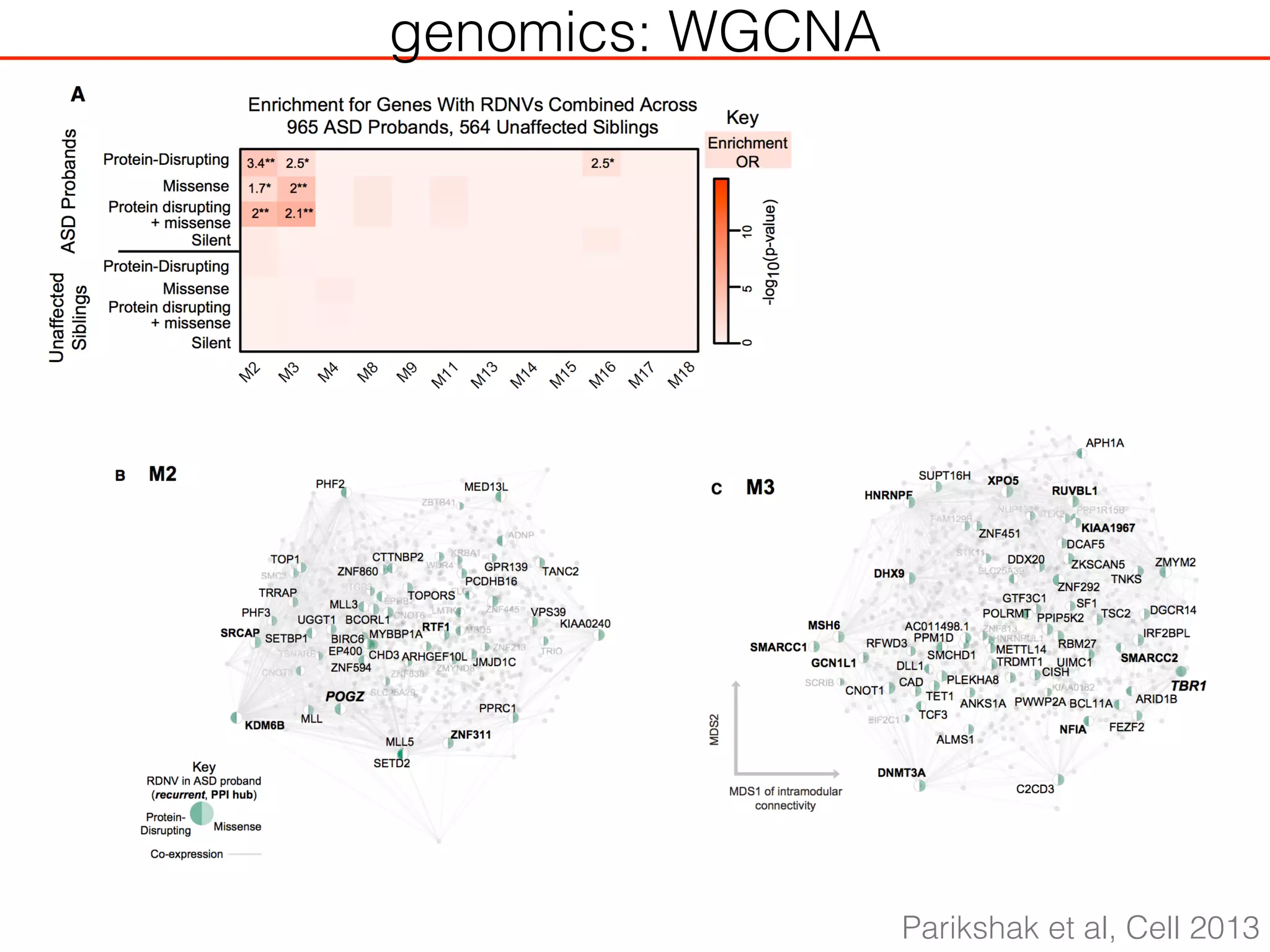 genomics: WGCNA
Parikshak et al, Cell 2013
 