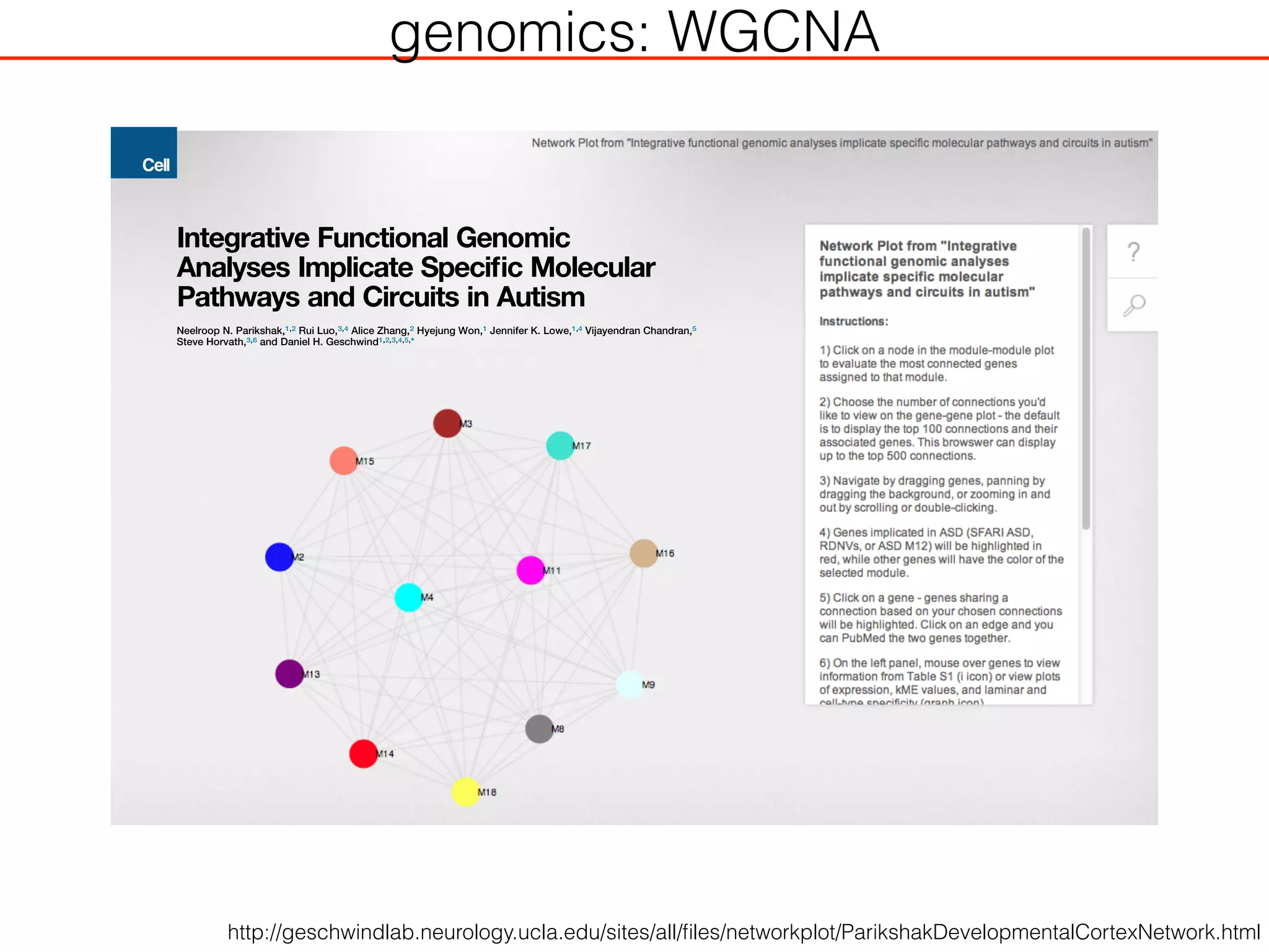 Integrative Functional Genomic
Analyses Implicate Speciﬁc Molecular
Pathways and Circuits in Autism
Neelroop N. Parikshak,1,2 Rui Luo,3,4 Alice Zhang,2 Hyejung Won,1 Jennifer K. Lowe,1,4 Vijayendran Chandran,5
Steve Horvath,3,6 and Daniel H. Geschwind1,2,3,4,5,*
1Program in Neurobehavioral Genetics, Semel Institute, David Geffen School of Medicine, University of California, Los Angeles, Los Angeles,
CA 90095, USA
2Interdepartmental Program in Neuroscience, University of California, Los Angeles, Los Angeles, CA 90095, USA
3Department of Human Genetics, David Geffen School of Medicine, University of California, Los Angeles, Los Angeles, CA 90095, USA
4Center for Autism Treatment and Research, Semel Institute, David Geffen School of Medicine, University of California, Los Angeles,
Los Angeles, CA 90095, USA
5Program in Neurogenetics, Department of Neurology, David Geffen School of Medicine, University of California, Los Angeles, Los Angeles,
CA 90095, USA
6Department of Biostatistics, University of California, Los Angeles, Los Angeles, CA 90095, USA
*Correspondence: dhg@ucla.edu
http://dx.doi.org/10.1016/j.cell.2013.10.031
SUMMARY
Genetic studies have identiﬁed dozens of autism
spectrum disorder (ASD) susceptibility genes, raising
two critical questions: (1) do these genetic loci
converge on speciﬁc biological processes, and (2)
where does the phenotypic speciﬁcity of ASD arise,
given its genetic overlap with intellectual disability
(ID)? To address this, we mapped ASD and ID risk
genes onto coexpression networks representing
developmental trajectories and transcriptional pro-
ﬁles representing fetal and adult cortical laminae.
ASD genes tightly coalesce in modules that implicate
distinct biological functions during human cortical
development, including early transcriptional regula-
tion and synaptic development. Bioinformatic ana-
lyses suggest that translational regulation by FMRP
and transcriptional coregulation by common tran-
scription factors connect these processes. At a cir-
cuit level, ASD genes are enriched in superﬁcial
cortical layers and glutamatergic projection neurons.
Furthermore, we show that the patterns of ASD and
ID risk genes are distinct, providing a biological
framework for further investigating the pathophysi-
ology of ASD.
INTRODUCTION
Autism spectrum disorder (ASD) is a heterogeneous neurodeve-
lopmental disorder in which hundreds of genes have been impli-
cated (Berg and Geschwind, 2012; Geschwind and Levitt, 2007).
Analysis of copy number variation (CNV) and exome sequencing
have identiﬁed rare variants that alter dozens of protein-coding
genes in ASD, none of which account for more than 1% of
ASD cases (Devlin and Scherer, 2012). This and the fact that a
signiﬁcant fraction (40%–60%) of ASD is explained by common
variation (Klei et al., 2012) point to a heterogeneous genetic
architecture.
These ﬁndings raise several issues. Based on the background
human mutation rate (MacArthur et al., 2012), most genes
affected by only one observed rare variant to date are likely false
positives that do not increase risk for ASD (Gratten et al., 2013). It
is therefore essential to develop approaches that prioritize
singleton variants, especially missense mutations. Furthermore,
given the heterogeneity of ASD, it would be valuable to identify
common pathways, cell types, or circuits disrupted within ASD
itself. Recent studies combining gene expression, protein-
protein interactions (PPIs), and other systematic gene annotation
resources suggest some molecular convergence in subsets of
ASD risk genes (Ben-David and Shifman, 2013; Gilman et al.,
2011; Sakai et al., 2011; Voineagu et al., 2011). Yet, it remains
unclear how the large number of genes implicated through
different methods may converge to affect human brain develop-
ment, which is critical to a mechanistic understanding of ASD
(Berg and Geschwind, 2012). Additionally, ASD has considerable
overlap with ID at the genetic level, so identifying molecular path-
ways and circuits that confer the phenotypic speciﬁcity of ASD
would be of considerable utility (Geschwind, 2011; Matson and
Shoemaker, 2009).
Here, we took a stepwise approach to determine whether
genes implicated in ASD affect convergent pathways during
in vivo human neural development and whether they are en-
riched in speciﬁc cells or circuits (Figure 1A). First, we con-
structed transcriptional networks representing genome-wide
functional relationships during fetal and early postnatal brain
development and mapped genes from multiple ASD and ID
resources to these networks. We then assessed shared neurobi-
ological function among these genes, including coregulatory
relationships and enrichment in layer-speciﬁc patterns from
http://geschwindlab.neurology.ucla.edu/sites/all/ﬁles/networkplot/ParikshakDevelopmentalCortexNetwork.html
genomics: WGCNA
 