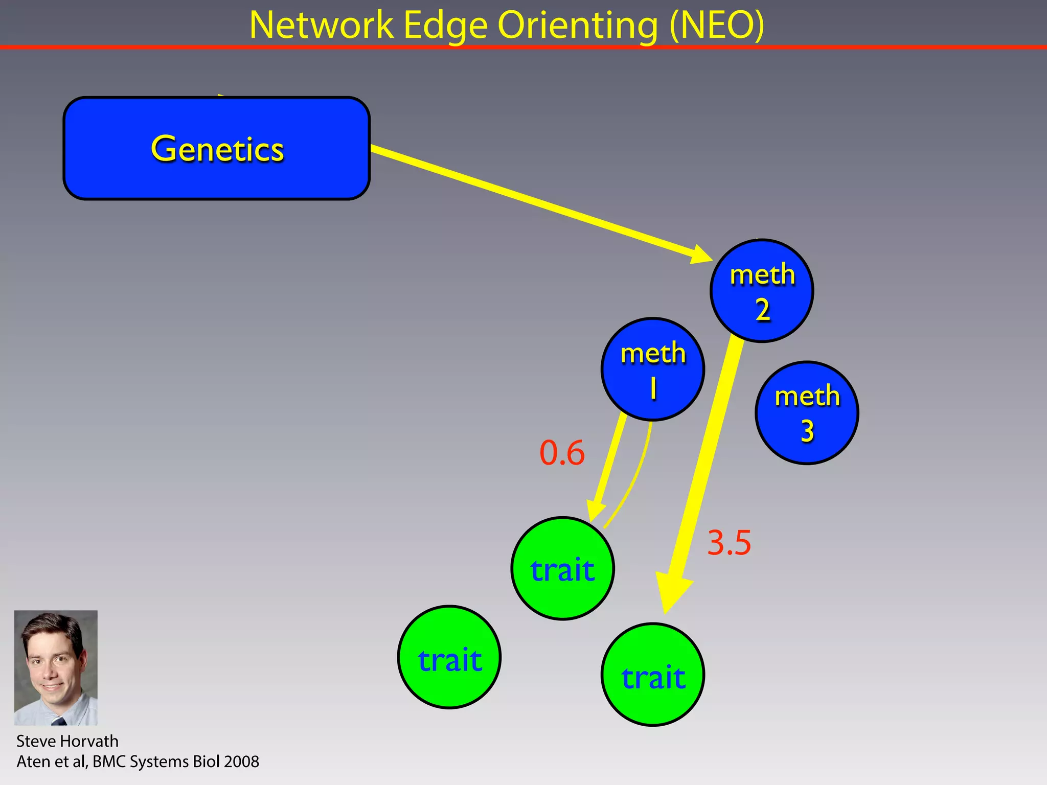 Genetics
meth
1
meth
2
meth
3
trait
traittrait
Network Edge Orienting (NEO)
0.6
3.5
Steve Horvath
Aten et al, BMC Systems Biol 2008
 