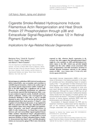 Cell Injury, Repair, Aging and Apoptosis
Cigarette Smoke-Related Hydroquinone Induces
Filamentous Actin Reorganization and Heat Shock
Protein 27 Phosphorylation through p38 and
Extracellular Signal-Regulated Kinase 1/2 in Retinal
Pigment Epithelium
Implications for Age-Related Macular Degeneration
Marianne Pons,* Scott W. Cousins,†
Karl G. Csaky,†
Gary Striker,‡
and Maria E. Marin-Castan˜o*
From the Department of Ophthalmology,* Bascom Palmer Eye
Institute, University of Miami Miller School of Medicine, Miami,
Florida; the Duke Center for Macular Diseases,†
Duke University
Eye Center, Durham, North Carolina; and the Division of
Experimental Diabetes and Aging,‡
Mount Sinai, School of
Medicine, New York, New York
Retinal pigment epithelium (RPE)-derived membranous
debris named blebs, may accumulate and contribute to
sub-RPE deposit formation, which is the earliest sign of
age-related macular degeneration (AMD). Oxidative in-
jury to the RPE might play a significant role in AMD.
However, the underlying mechanisms are unknown.
We previously reported that hydroquinone (HQ), a ma-
jor pro-oxidant in cigarette smoke, foodstuff, and atmo-
spheric pollutants, induces actin rearrangement and
membrane blebbing in RPE cells as well as sub-RPE
deposits in mice. Here, we show for the first time that
phosphorylated Heat shock protein 27 (Hsp27), a key
regulator of actin filaments dynamics, is up-regulated in
RPE from patients with AMD. Also, HQ-induced nonle-
thal oxidative injury led to Hsp27mRNA up-regulation,
dimer formation, and Hsp27 phosphorylation in
ARPE-19 cells. Furthermore, we found that a cross talk
between p38 and extracellular signal-regulated kinase
(ERK) mediates HQ-induced Hsp27 phosphorylation
and actin aggregate formation, revealing ERK as a novel
upstream mediator of Hsp27 phosphorylation. Finally,
we demonstrated that Hsp25, p38, and ERK phosphor-
ylation are increased in aging C57BL/6 mice chronically
exposed to HQ, whereas Hsp25 expression is de-
creased. Our data suggest that phosphorylated Hsp27
might be a key mediator in AMD and HQ-induced oxi-
dative injury to the RPE, which may provide helpful
insights into the early cellular events associated with
actin reorganization and bleb formation involved in
sub-RPE deposits formation relevant to the pathog-
enesis of AMD. (Am J Pathol 2010, 177:1198–1213; DOI:
10.2353/ajpath.2010.091108)
Age-related macular degeneration (AMD) is the main
cause of blindness in the elderly population in the West-
ern societies and has a devastating impact on people’s
quality of life.1– 4
An estimated 13 million Americans have
some degree of AMD and unless better preventive treat-
ments emerge, this number is expected to climb and
even reach epidemic proportions with the overall aging
demographics. Although the cause of AMD has not yet
been fully determined, this complex multifactorial disease
clearly results from the interplay of multiple genetic and
environmental risk factors2,5
that lead to progressive de-
struction of retinal pigment epithelial (RPE) cells and
photoreceptors and ultimately to vision loss.
Accumulation of deposits between the RPE and its
basement membrane (called basal laminar deposits) is
part of the numerous biochemical and anatomical
changes associated with aging retina. However, the
Supported by National Eye Institute grants R01 EY015249-01A1,
EY015249-01A1S1, and EY014801.
Accepted for publication May 25, 2010.
Address reprint requests to Maria-Encarna Marin-Castan˜o, M.D., Ph.D.,
Bascom Palmer Eye Institute, University of Miami Miller School of Medicine,
1638 NW 10th Ave, Miami, FL 33136. E-mail: mcastano@med.miami.edu.
The American Journal of Pathology, Vol. 177, No. 3, September 2010
Copyright © American Society for Investigative Pathology
DOI: 10.2353/ajpath.2010.091108
1198
 