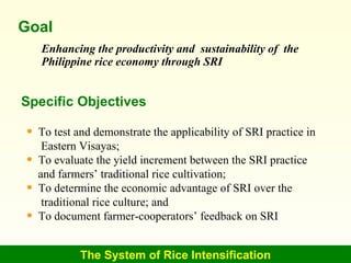 0630 System of Rice Intensification (SRI) On–Farm Trials in Eastern ...