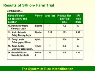 The System of Rice Intensification Results of SRI on- Farm Trial continuation…. SRI Yield (t/ha) Previous Non-SRI Yield (t...