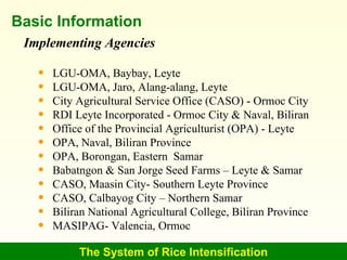 The System of Rice Intensification Basic Information Implementing Agencies <ul><li>LGU-OMA, Baybay, Leyte </li></ul><ul><l...