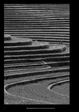 1 81 8 Vital & Growing: Adding Up the US-Indonesia Economic Relationship
 