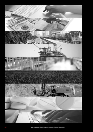 3 63 6 Vital & Growing: Adding Up the US-Indonesia Economic Relationship
 