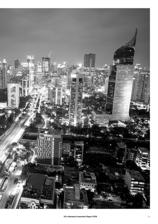 5 5US–Indonesia Investment Report 2016
 