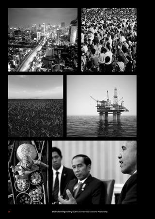 5 65 6 Vital & Growing: Adding Up the US-Indonesia Economic Relationship
 