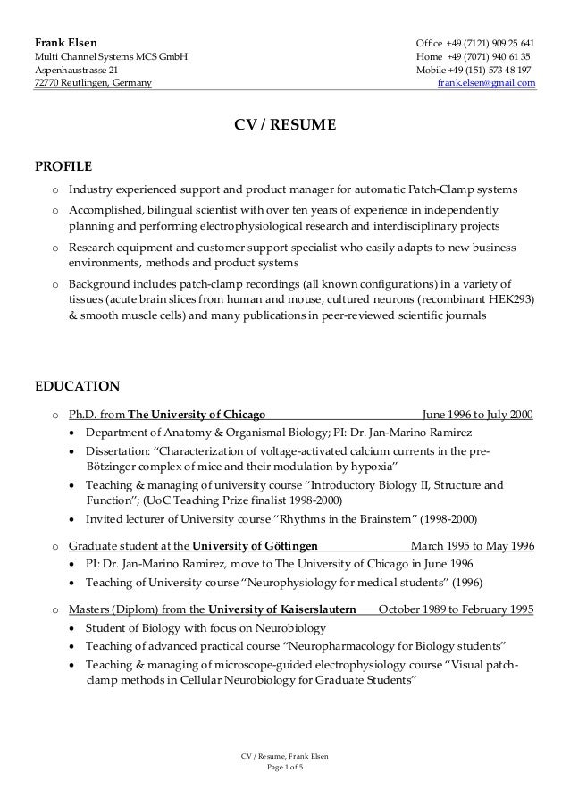 resume frank elsen dina4 without publications