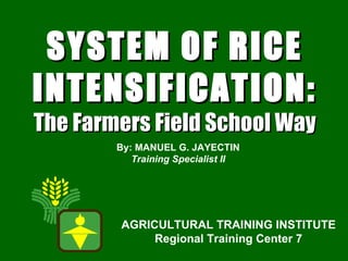   SYSTEM OF RICE INTENSIFICATION: The Farmers Field School Way AGRICULTURAL TRAINING INSTITUTE Regional Training Center 7 By: MANUEL G. JAYECTIN Training Specialist II 