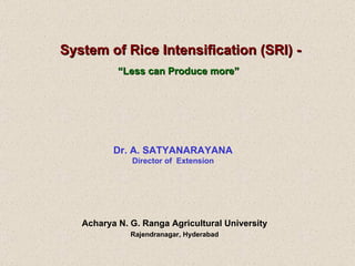 System of Rice Intensification (SRI) - “ Less can Produce more”   Dr. A. SATYANARAYANA Director of  Extension Acharya N. G. Ranga Agricultural University Rajendranagar, Hyderabad 