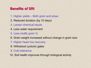 Benefits of SRI 1. Higher yields – Both grain and straw 2. Reduced duration (by 10 days) 3. Lesser chemical inputs 4. Less...