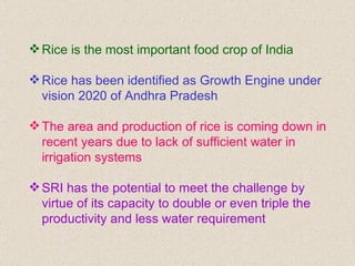 <ul><li>Rice is the most important food crop of India </li></ul><ul><li>Rice has been identified as Growth Engine under vi...