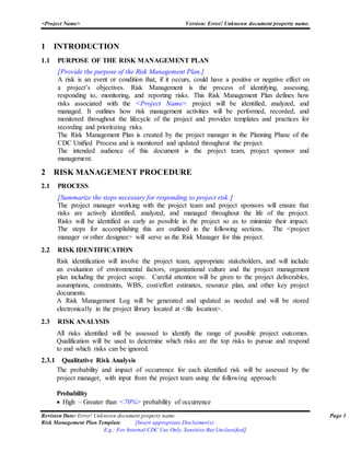 CDC Risk Mgmt Template | DOCX
