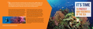 The ocean covers nearly 70 percent of the Earth. Beneath the
surface is another vibrant world altogether. Coral reefs teeming
with rainbows of tropical fish. Whales gathering to feed at the
edges of submarine canyons deeper than the Grand Canyon.
Volcanic seamounts, covered in ancient colonies of sea sponges,
rise thousands of feet from the ocean floor. Lush kelp forests
shelter sea otter mothers and pups. But beyond its thrill and
beauty, the ocean feeds us—seafood is an essential mainstay
of the daily diet for one-sixth of the world’s population.
While 12 percent of the land on Earth has been set aside as parks, wildlife refuges, and
wilderness areas, less than one percent of the ocean has been similarly protected. Just
like Yellowstone and Yosemite on land, we believe that our planet’s most spectacular
and ecologically important underwater treasures deserve lasting protection.
At Ocean Conservancy, with the support of members like
you, we’re making significant progress in protecting some of
the ocean’s most extraordinary places. In Florida, we helped
establish the Tortugas Ecological Reserve where depleted
lobsters and reef fish are now showing signs of recovery.
In the Northwestern Hawaiian Islands, we fought to establish
and protect one of the world’s largest marine reserves. And in
California, we helped pass the landmark Marine Life Protection
Act, creating a system of marine protected areas along the
state’s coastline. Now, we’re working with fishermen, divers,
scientists and others to implement this law.
As threats to the ocean mount, it’s time to set aside more marine
protected areas and ensure they are well-managed. Preserving
these pristine places helps strengthen the ocean’s own immune
system, fortifying its ability to withstand threats like oil spills and
global warming. And the more we protect our ocean, the more
we protect our planet. Because there are some things we simply
can’t live without.
TOPROTECT
OURYOSEMITES
OFTHESEA
At Ocean Conservancy we’re making significant progress in
protecting some of the ocean’s most extraordinary places.
 