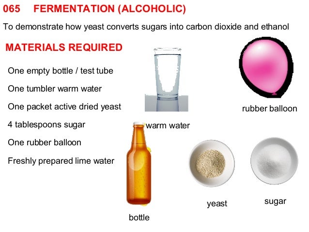 065 fermentation (alcoholic)