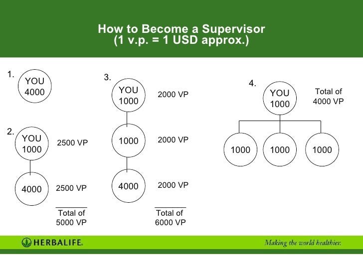 herbalife ppt how to become a supervisor