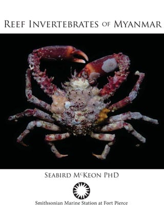 Seabird Mc
Keon PhD
Reef Invertebrates of Myanmar
 