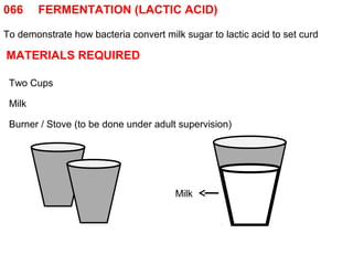 066 FERMENTATION (LACTIC ACID) 
To demonstrate how bacteria convert milk sugar to lactic acid to set curd 
MATERIALS REQUIRED 
Two Cups 
Milk 
Burner / Stove (to be done under adult supervision) 
Milk 
 