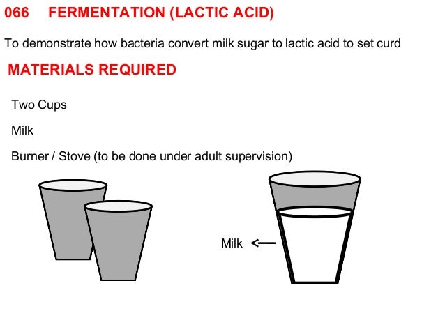 066 Fermentation Lactic Acid