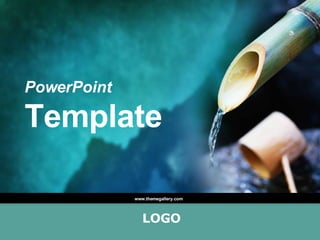PowerPoint   Template www.themegallery.com 