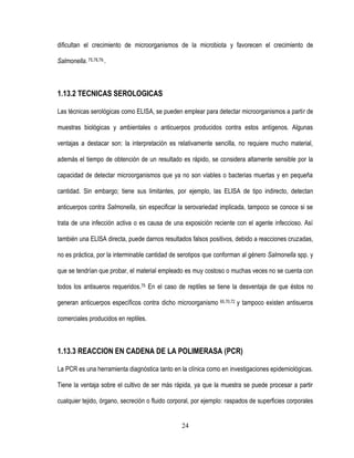 dificultan el crecimiento de microorganismos de la microbiota y favorecen el crecimiento de
Salmonella. 75,78,79..

1.13.2 TECNICAS SEROLOGICAS
Las técnicas serológicas como ELISA, se pueden emplear para detectar microorganismos a partir de
muestras biológicas y ambientales o anticuerpos producidos contra estos antígenos. Algunas
ventajas a destacar son: la interpretación es relativamente sencilla, no requiere mucho material,
además el tiempo de obtención de un resultado es rápido, se considera altamente sensible por la
capacidad de detectar microorganismos que ya no son viables o bacterias muertas y en pequeña
cantidad. Sin embargo; tiene sus limitantes, por ejemplo, las ELISA de tipo indirecto, detectan
anticuerpos contra Salmonella, sin especificar la serovariedad implicada, tampoco se conoce si se
trata de una infección activa o es causa de una exposición reciente con el agente infeccioso. Así
también una ELISA directa, puede darnos resultados falsos positivos, debido a reacciones cruzadas,
no es práctica, por la interminable cantidad de serotipos que conforman al género Salmonella spp. y
que se tendrían que probar, el material empleado es muy costoso o muchas veces no se cuenta con
todos los antisueros requeridos.75 En el caso de reptiles se tiene la desventaja de que éstos no
generan anticuerpos específicos contra dicho microorganismo 65,70,72 y tampoco existen antisueros
comerciales producidos en reptiles.

1.13.3 REACCION EN CADENA DE LA POLIMERASA (PCR)
La PCR es una herramienta diagnóstica tanto en la clínica como en investigaciones epidemiológicas.
Tiene la ventaja sobre el cultivo de ser más rápida, ya que la muestra se puede procesar a partir
cualquier tejido, órgano, secreción o fluido corporal, por ejemplo: raspados de superficies corporales

24

 