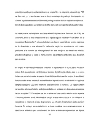 estadístico mostró que no existía relación entre la variable filtro y el aislamiento o detección por PCR
de Salmonella, por lo tanto la carencia de un filtro que mantenga el agua limpia libre de detritus, no
aumentó la posibilidad de detectar Salmonella, por ninguna de las técnicas diagnósticas empleadas.
El resto de tortugas de las que también se identificó Salmonella correspondían a tortugas terrestres.

La mayor parte de las tortugas en las que se demostró la presencia de Salmonella por PCR y por
aislamiento, tenían la dieta correspondiente a su especie según la literatura.48,87 Esto difiere con lo
reportado por Duponte et al.,62 quienes planteaban que el estrés ocasionado por cambios repentinos
en la alimentación o una alimentación inadecuada, según los requerimientos nutricionales,
predispone a la excreción del microorganismo.62 En este trabajo no se detectó esta relación,
probablemente porque su efecto es menor, mientras las condiciones ambientales sean de confort
para el animal.

En ninguna de las investigaciones sobre Salmonella en reptiles hechas en el país, se ha incluido un
estudio de la susceptibilidad a antibióticos de las cepas de Salmonella aisladas, este es el primer
trabajo que aporta información al respecto. Los antibióticos utilizados en las pruebas de sensibilidad
fueron con base en ser antibióticos recomendados en la práctica clínica en los reptiles 79,105 y porque
son propuestos por la CDC como tratamiento para salmonelosis en humanos.8 Las cepas resultaron
ser sensibles a la mayoría de los antibióticos probados, en contraste con otros autores en estudios
hechos en reptiles.47,81 Esto sugiere que aún no existe una fuerte presión selectiva en las cepas de
Salmonella presentes en las poblaciones de tortugas de este estudio, lo cual es una ventaja en la
selección de un tratamiento en caso de presentarse una infección clínica tanto en reptiles como en
humanos. Sin embargo, estos resultados no se deben considerar como recomendaciones en la
selección de antibióticos para un tratamiento. En cuanto a la resistencia presentada por algunas
68

 