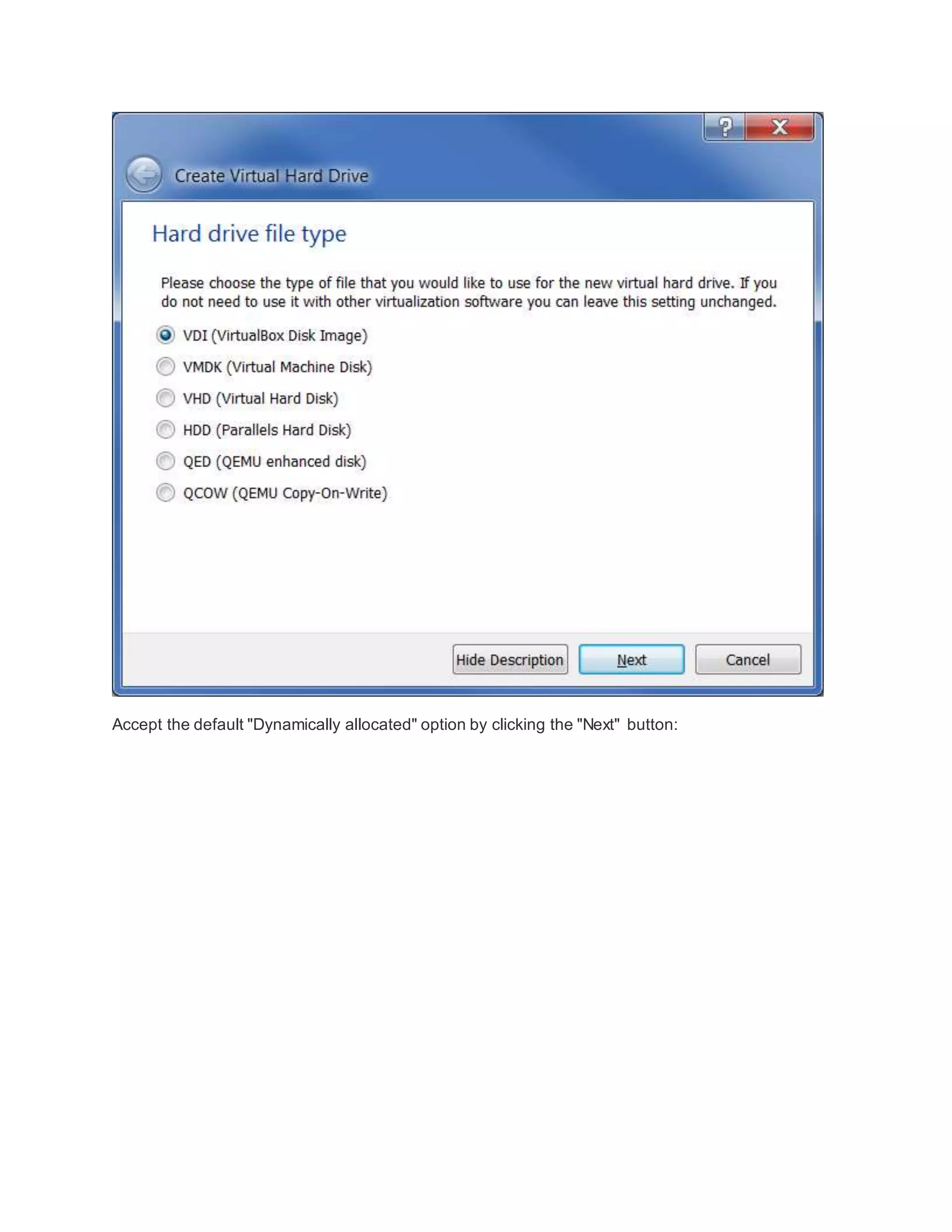 Accept the default "Dynamically allocated" option by clicking the "Next" button:
 