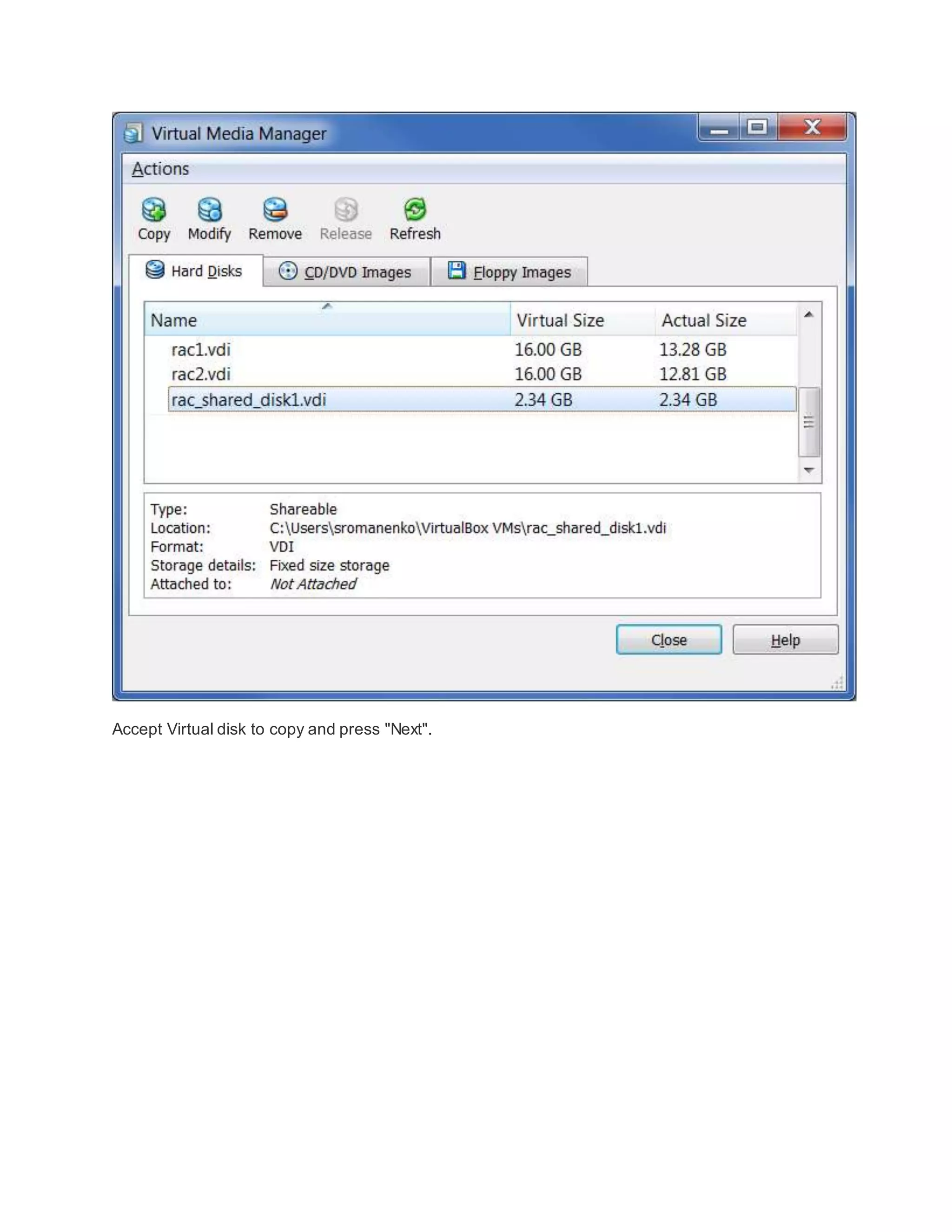Accept Virtual disk to copy and press "Next".
 