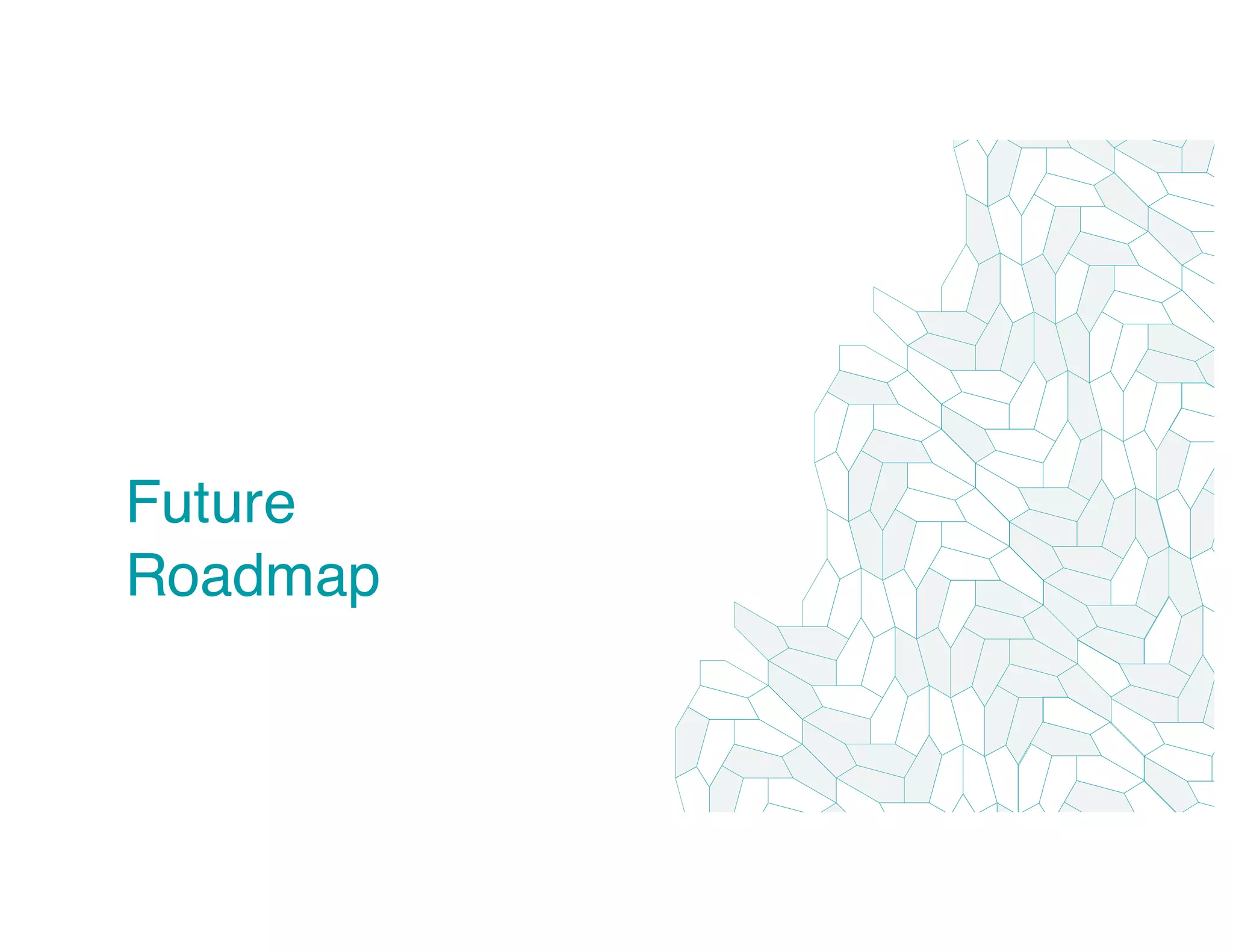 Future
Roadmap
 