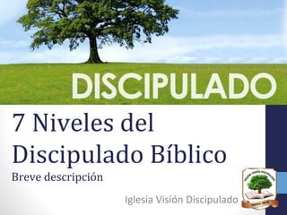 7 Niveles del
Discipulado Bíblico
Breve descripción
Iglesia Visión Discipulado
 