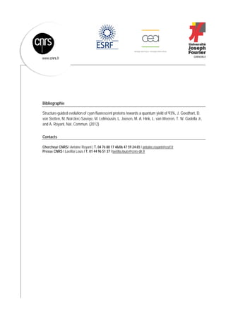 
 
www.cnrs.fr
Bibliographie
Structure-guided evolution of cyan fluorescent proteins towards a quantum yield of 93%, J. Goedhart, D.
von Stetten, M. Noirclerc-Savoye, M. Lelimousin, L. Joosen, M. A. Hink, L. van Weeren, T. W. Gadella Jr,
and A. Royant, Nat. Commun. (2012)
Contacts
Chercheur CNRS l Antoine Royant | T. 04 76 88 17 46/06 47 59 24 65 l antoine.royant@esrf.fr
Presse CNRS l Laetitia Louis l T. 01 44 96 51 37 l laetitia.louis@cnrs-dir.fr
 