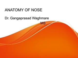 ANATOMY OF NOSE
Dr. Gangaprasad Waghmare
MS
 