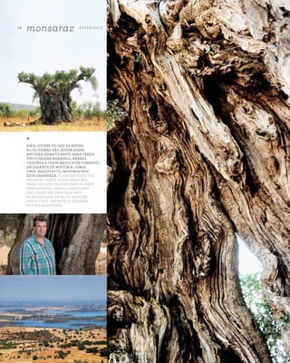 A Z - Z A I T C A S A D O A Z E I T E M A G A Z I N E
14
monsaraz E X P E R I E N CE
*
MAIS JOVENS DO QUE AS ANTAS
AS OLIVEIRAS SÃO, AINDA ASSIM,
ANTIGAS QUANTO BASTE PARA TEREM
VISTO PASSAR ROMANOS, ÁRABES,
CRISTÃOS E TEMPLÁRIOS NUM CORRUPIO
INCESSANTE DE HISTÓRIA. JORGE
CRUZ, ARQUITECTO, MOSTROU-NOS
ESTA GRANDEZA. YOUNGER THAN THE
DOLMENS THESE OLIVE TREES ARE,
NONETHELESS, OLD ENOUGH TO HAVE
SEEN ROMANS, ARABS, CHRISTIANS
AND TEMPLARS PASS THIS WAY
IN AN ENDLESS SWIRL OF HISTORY.
JORGE CRUZ, ARCHITECT, SHOWED
US THIS GREATNESS.
 