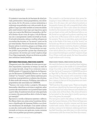 1 6
monsaraz E X P E R I E N CE
A Z - Z A I T C A S A D O A Z E I T E M A G A Z I N E
O contexto é uma área de 120 hectares de olival pri-
vado, pertencente a vários proprietários, com olivei-
ras novas, de 70 e 80 anos, e outras centenárias e
milenares enquadradas num vale povoado de me-
galitos.Éaquiqueestãotambémasantasestudadas
pelo casal Leisner e é por aqui que seguimos, agora
a pé, com a serra dos Motrinos à esquerda, a de Por-
tel à direita e lá em cima, de vigia, a vila de Monsa-
raz com o omnipresente castelo recortado ao fundo.
O sol está inclemente, cabras e ovelhas refugiam-se
na sombra das árvores, ou “no acarro”, como se diz
por estas bandas. Vamos em busca das oliveiras mi-
lenares salvas in extremis, graças a um belga, sócio
da ADIM, que as comprou. “Encontrámos um regi-
me jurídico que permite a posse das oliveiras por
uma pessoa e do terreno por outra”, explica Jorge
Cruz.Hajaimaginação,diriamasoliveirassepudes-
sem verbalizar nestas batalhas.
ÁRVORES PRECIOSAS, PRECIOSO AZEITE
Chegamos junto das célebres árvores que se que-
dam imponentes, suspensas no tempo, no meio de
um campo lavrado. Jorge Cruz conta-nos como a
ADIM propôs à Cooperativa Agrícola de Reguen-
gos de Monsaraz (CARMIM) fabricar um “azeite
milenar” ou “romano” a partir destas azeitonas para
incentivar os proprietários a cuidarem das oliveiras.
A ideia ainda não avançou. Problema: nem todos os
proprietários são associados da CARMIM.
“Vamos a ver como evolui o projecto. Há passos
demorados: identificar as árvores e espécies, saber
quantas são exactamente e se é possível fazer azeite
a partir delas. A azeitona teria de ser toda apanhada
no mesmo dia para justificar abrir a linha do lagar,
por exemplo.”
Apuramos o ouvido e deixamos assentar o silêncio.
Em Março deste ano, estas antas funerárias obtive-
ram a classificação de Interesse Público e as olivei-
ras restolharam de satisfação. Com azeite milenar
ou sem ele, continuarão resistentes, alargando e re-
torcendo os troncos, ano após ano, numa conversa
lenta com as pedras que povoam a paisagem.
The context is a 120 hectare private olive grove, be-
longing to many different owners, with some new
trees, 70 to 80 years old, and others hundreds or
thousands of years old, with a megalith filled valley
in the background. This is also where the dolmans
studied by the Leisners are found, and that is where
we now head, on foot, with the Motrinos hills on our
left, Portel on our right and up above, watching over
us, the town of Monsaraz with its castle cut out of
the scenery. The sun is merciless, goats and sheep
stay in the shade of the trees, or in the “acarro”, as
the locals say. We are in search of the thousand year
oldolivetreessaved,inextremis,thankstoaBelgian
member of the ADIM who bought them. “We found
a law which allows for a tree to belong to one per-
son on land that belongs to another”, explains Jorge
Cruz. If they could only speak, the trees themselves
might endorse such cunning.
PRECIOUS TREES, PRECIOUS OLIVE OIL
We reach the famous trees, standing there helpless,
suspendedintime,inthemiddleofacultivatedfield.
Jorge Cruz tells us about how the ADIM suggest-
ed that the local Cooperative (CARMIM) produce
an “Age Old” or “Roman” olive oil from these olives,
thus providing the owners with incentives to take
care of them. The idea did not go ahead. The prob-
lem, it seems, is that not all the proprietors are mem-
bers of CARMIM.
“We’ll see how the project goes. There are lengthy
procedures: identifying the trees and species, deter-
miningexactlyhowmanythereareandwhetheryou
can make olive oil from them. The olives all have to
be harvested on the same day to justify opening a
line in the press, for example”.
Our ears grow used to the silence. In March of this
year the funeral dolmens of the Olival da Pega were
classified as being of public interest and the trees
rustled with content. With or without age old olive
oil,theycontinuetoberesistant,wideningandtwist-
ing their branches, year after year, in a slow moving
conversation with the stones that litter the scenery.
 