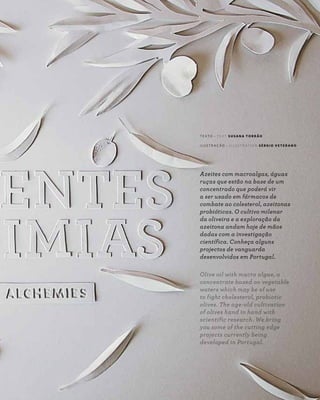 ALCHEMIES
3 9
R E V I S TA D A C A S A D O A Z E I T E A Z - Z A I T
I N OVA R
investigação
Azeites com macroalgas, águas
ruças que estão na base de um
concentrado que poderá vir
a ser usado em fármacos de
combate ao colesterol, azeitonas
probióticas. O cultivo milenar
da oliveira e a exploração da
azeitona andam hoje de mãos
dadas com a investigação
científica. Conheça alguns
projectos de vanguarda
desenvolvidos em Portugal.
Olive oil with macro algae, a
concentrate based on vegetable
waters which may be of use
to fight cholesterol, probiotic
olives. The age-old cultivation
of olives hand in hand with
scientific research. We bring
you some of the cutting edge
projects currently being
developed in Portugal.
T E X T O ~ T E X T S U S A N A T O R R Ã O 	
I L U S T R A Ç Ã O ~ I L L U S T R AT I O N S É R G I O V E T E R A N O
 